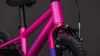 Fucsia´n´plum