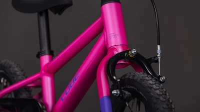 Fucsia´n´plum
