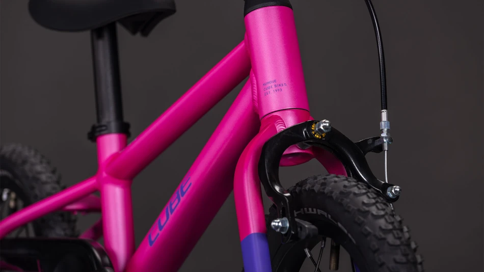 Fucsia´n´plum