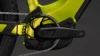 Lizard´n´black
