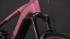 Shiftblush´n´raisin