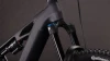 Blackline