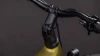 Goldenlime´n´black