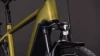 Goldenlime´n´black