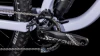 Cyclamen´n´black