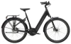 Trek Black Satin