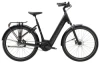 Trek Black Satin