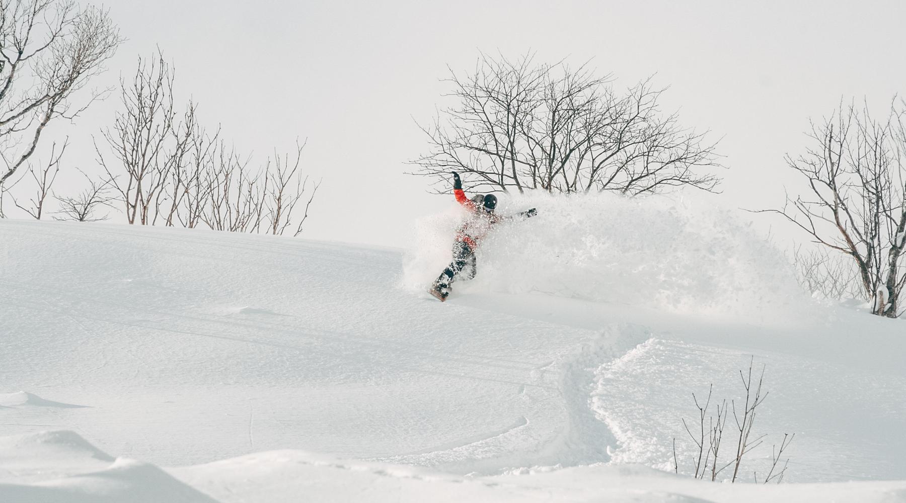 Japow - Powder Camp Japan #aa4f1c1c-9777-49b3-aca6-e34f4b07988e
