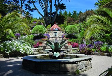 Tresco Abbey Gardens
