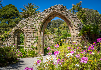 Tresco Abbey Gardens