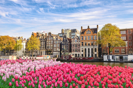 tulips by a canal
