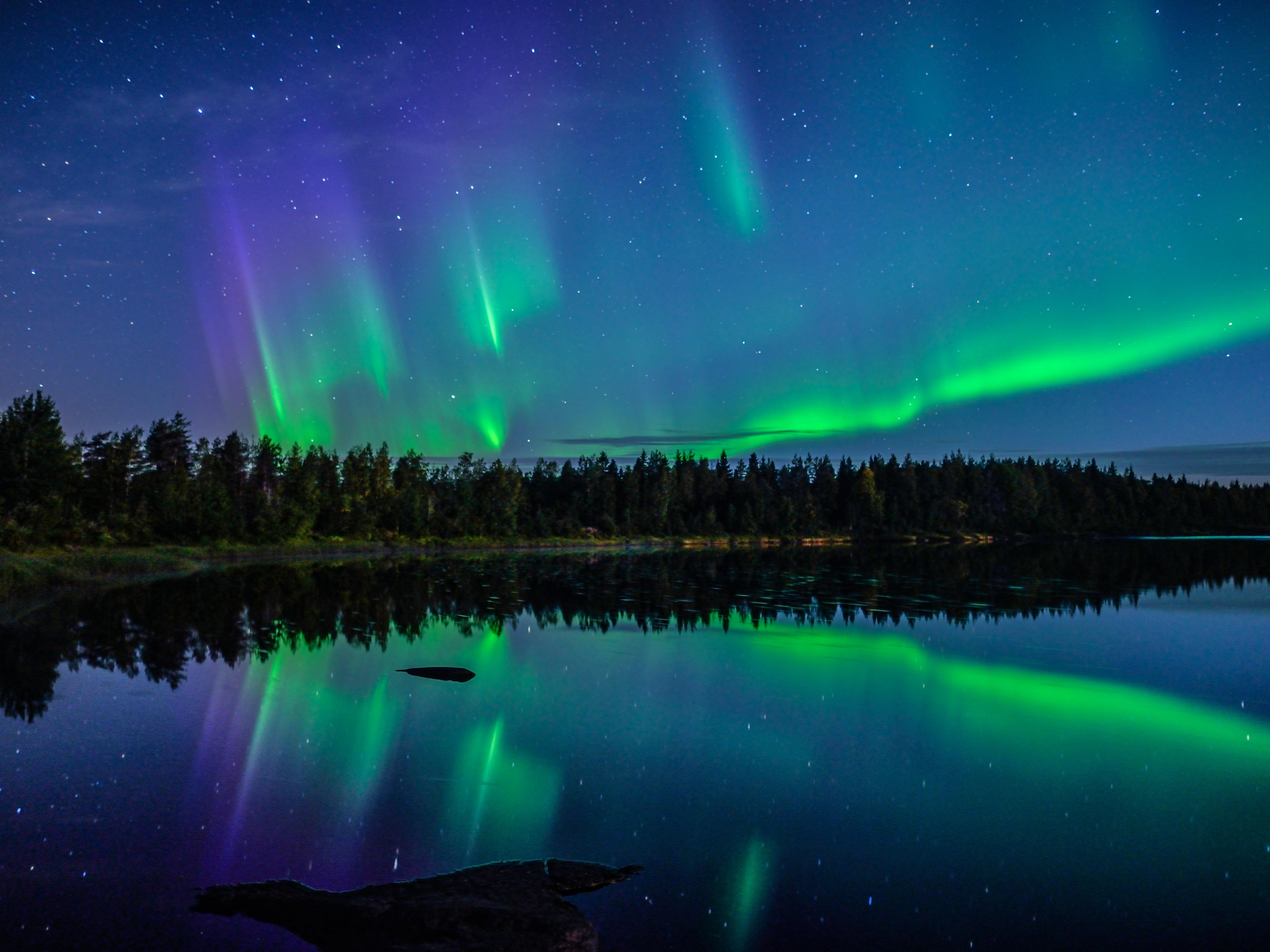 Aurora