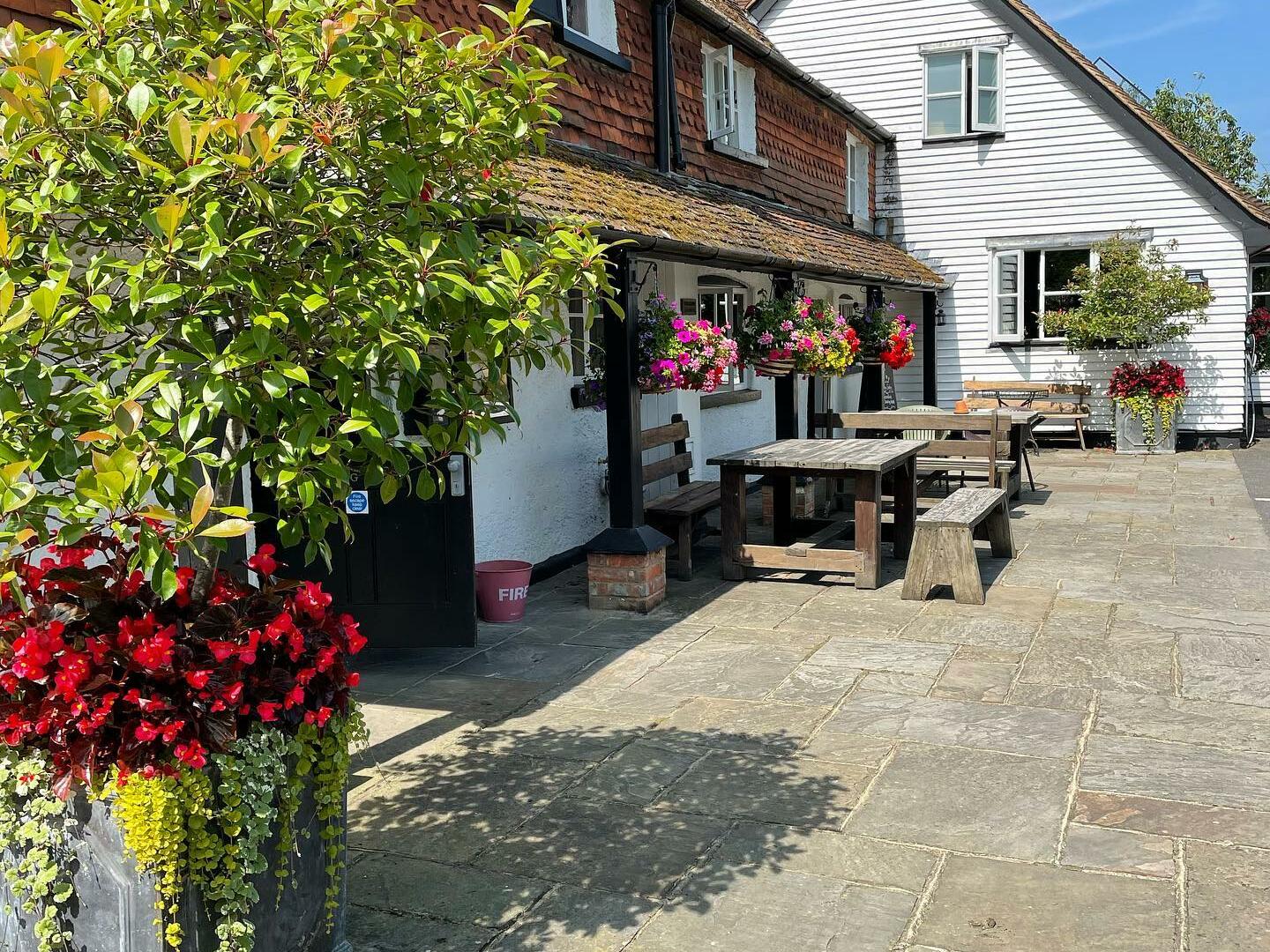 The Anchor Inn Lower Froyle, Alton Hotel Review