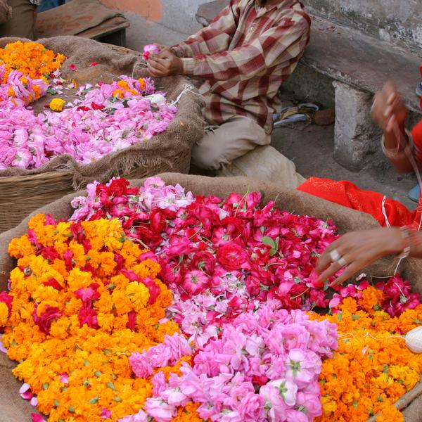 Flower seller in Indian market