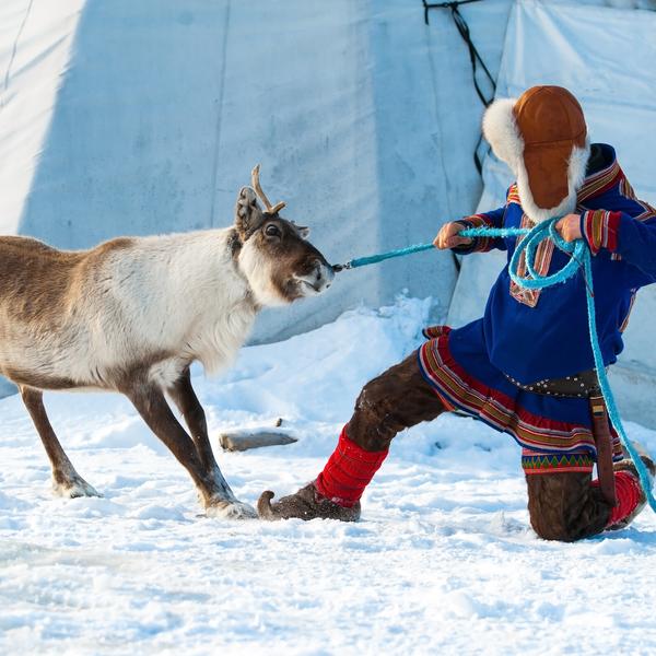 A reindeer breeder in Norway