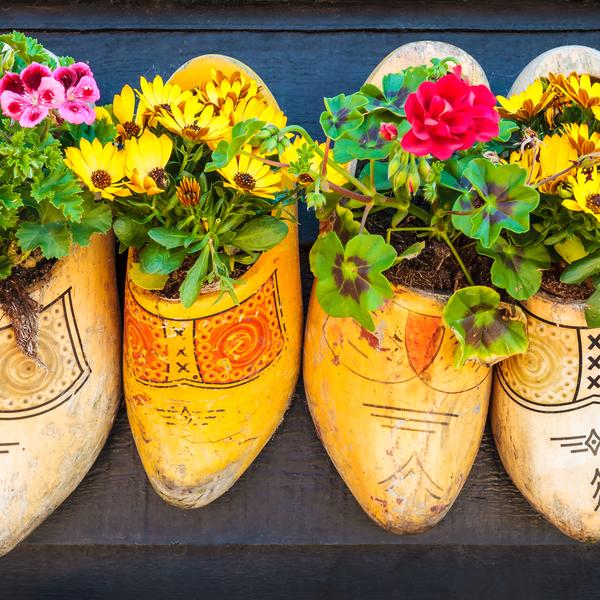 flowers in clogs, Amsterdam