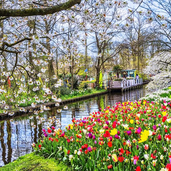 Keukenhof gardens