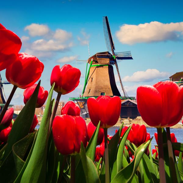 Kinderdijk windmills