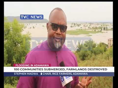 100-communities-submerged-farmlands-destroyed-in-Adamawa
