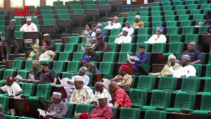 319-Nigerians-evacuated-from-South-Africa-says-Air-Peace-boss-Allen-Onyema
