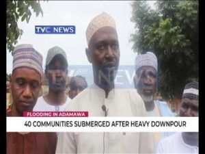 40-Communities-submerged-after-heavy-downpour-in-Adamawa
