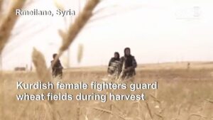 Kurdish-female-volunteers-guard-wheat-fields-against-jihadists-threat