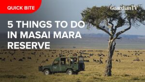 5-THINGS-TO-DO-IN-MASAI-MARA-RESERVE_REPORTSNEWS_-Thumbnail_