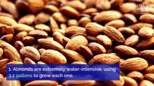 6-foods-that-are-making-droughts-worse