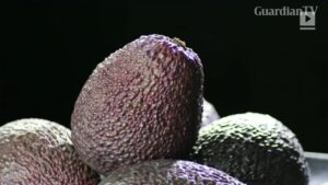 6-health-benefits-of-avocados