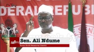 80-percent-of-Boko-Haram-fighters-are-from-Borno-State
