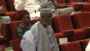 8th-Senate-was-a-human-assembly-Senator-Adeyeye