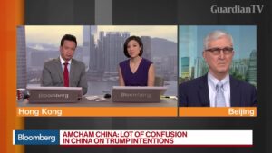 A-Lot-of-Confusion-in-China-on-U.S.-Motives-Says-AmCham-Chinas-Stratford