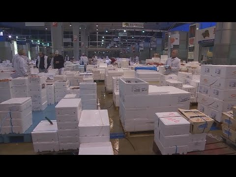 A-night-at-Rungis-Frances-fresh-produce-market