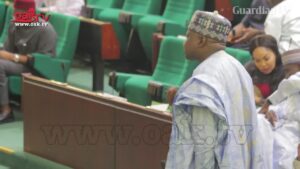 Ado-Doguwa-speaks-on-how-National-Assembly-plans-to-stop-Shiite-protests