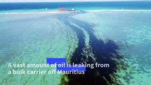 Aerial-footage-shows-extent-of-Mauritius-oil-leak-from-bulk-carrier