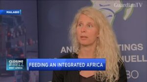 AfDBs-Jennifer-Blanke-on-the-Feed-Africa-Strategy