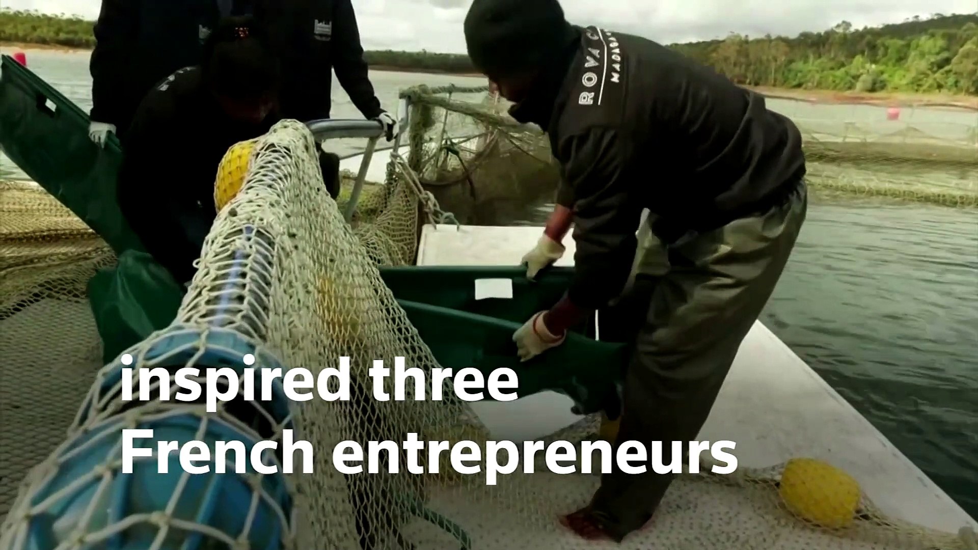 Africas-first-and-only-caviar-farm