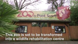 After-fundraiser-NGO-buys-zoo-to-free-animals
