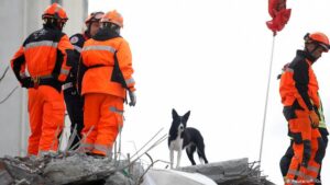 Albania-quake-toll-hits-51-as-search-for-survivors-ends