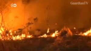 Amazon-wildfires