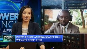 Analysis-How-Nigeria-can-help-broker-the-Egypt-Ethiopia-dam-dispute