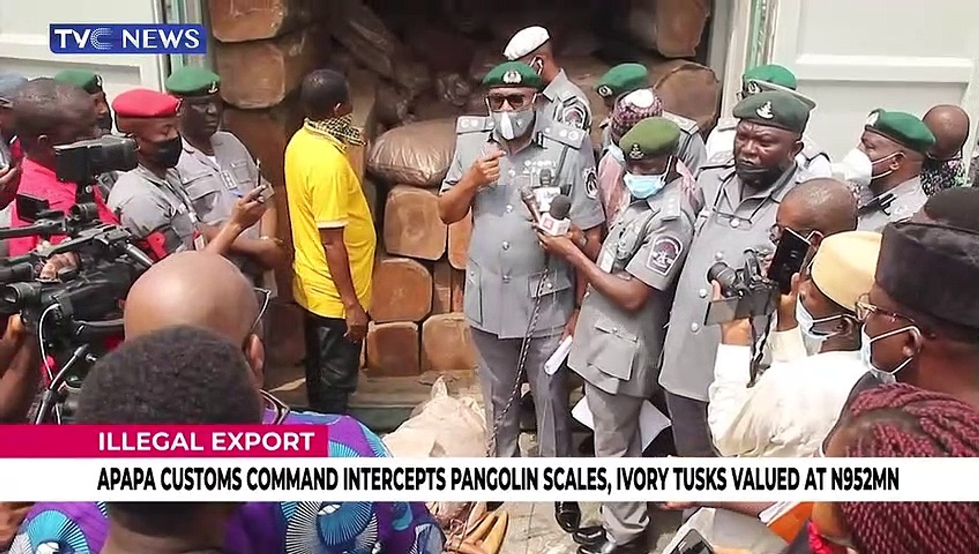Apapa-customs-intercepts-pangolin-scales-Ivory-tusks-valued-at-N952BN
