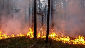 Arctic-wildfires-are-only-going-to-get-worse