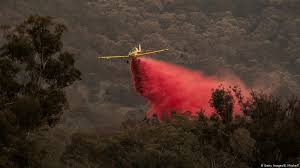 Australia-fires