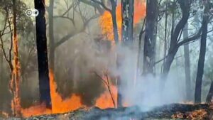 Australian-fires-Authorities-urge-mass-evacuation
