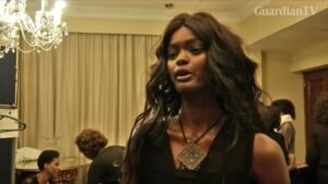 Australian-model-to-appear-in-court-over-in-flight-altercation