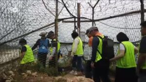 Australian-student-released-from-detention-in-North-Korea
