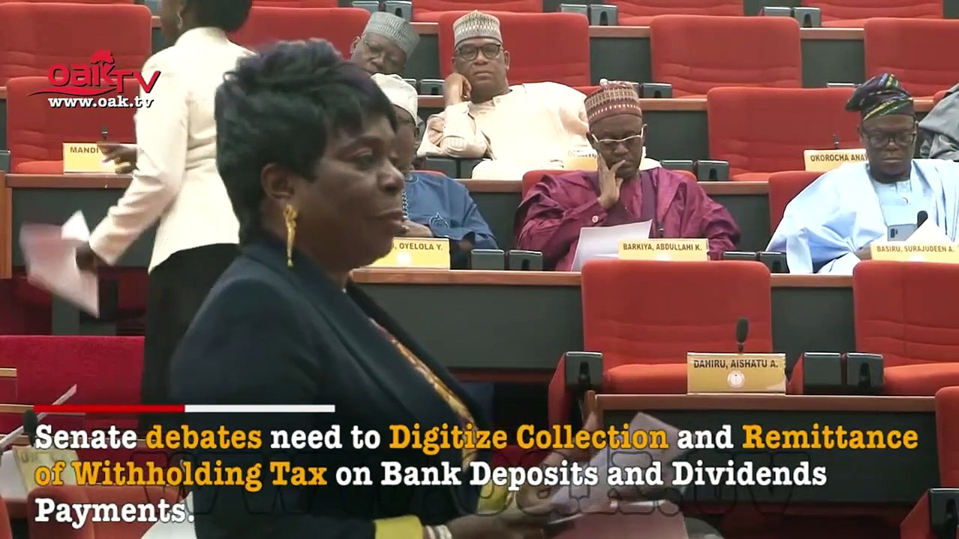 Banks-are-making-profit-on-taxes-paid-by-Nigerians-Senator-Olujimi