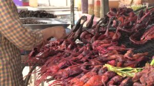 Barbecued-rat-on-the-menu-in-Cambodia