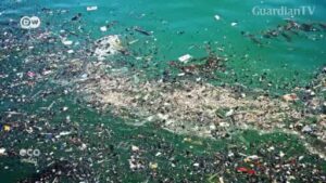 Beach-clean-ups-held-worldwide-for-World-Oceans-Day